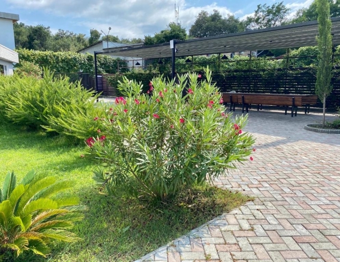 Отель «Мандарин» Лдзаа